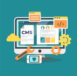 Expert WordPress Development Services for Your Business Growth