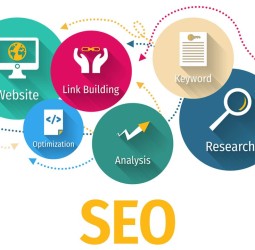 Small Business SEO Strategies: A Beginner’s Roadmap